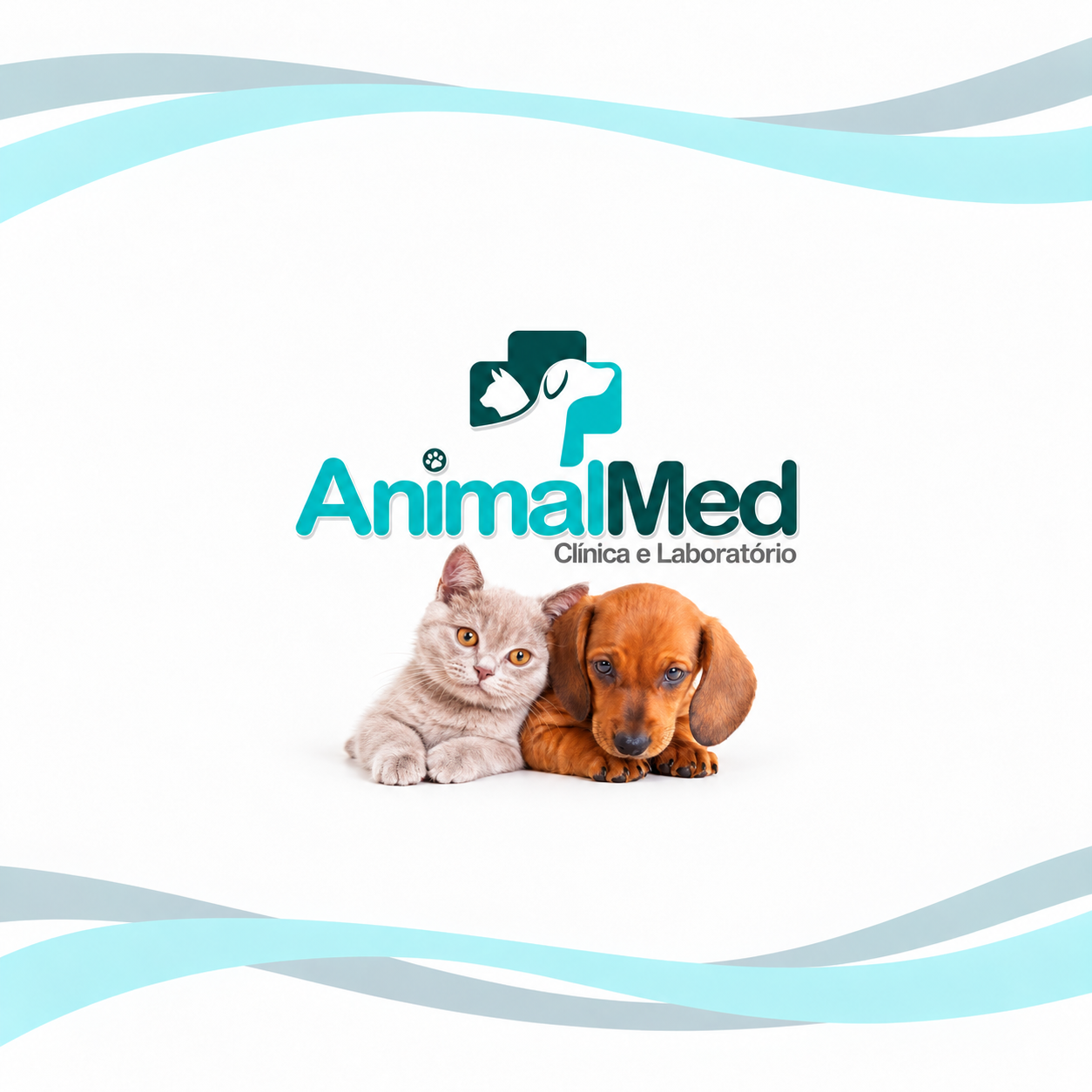 AnimalMed